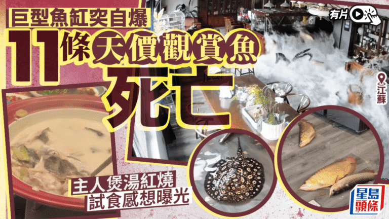 江蘇巨型魚缸自爆 近30萬元觀賞魚死亡 主人嘗試烹煮稱味道不佳