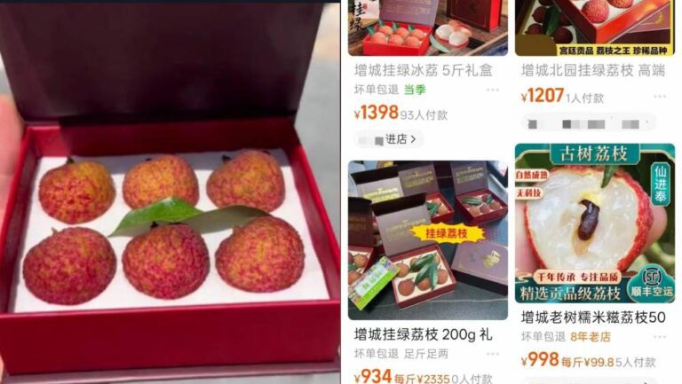 增城掛綠荔枝價格懸殊 網售單顆可達百元