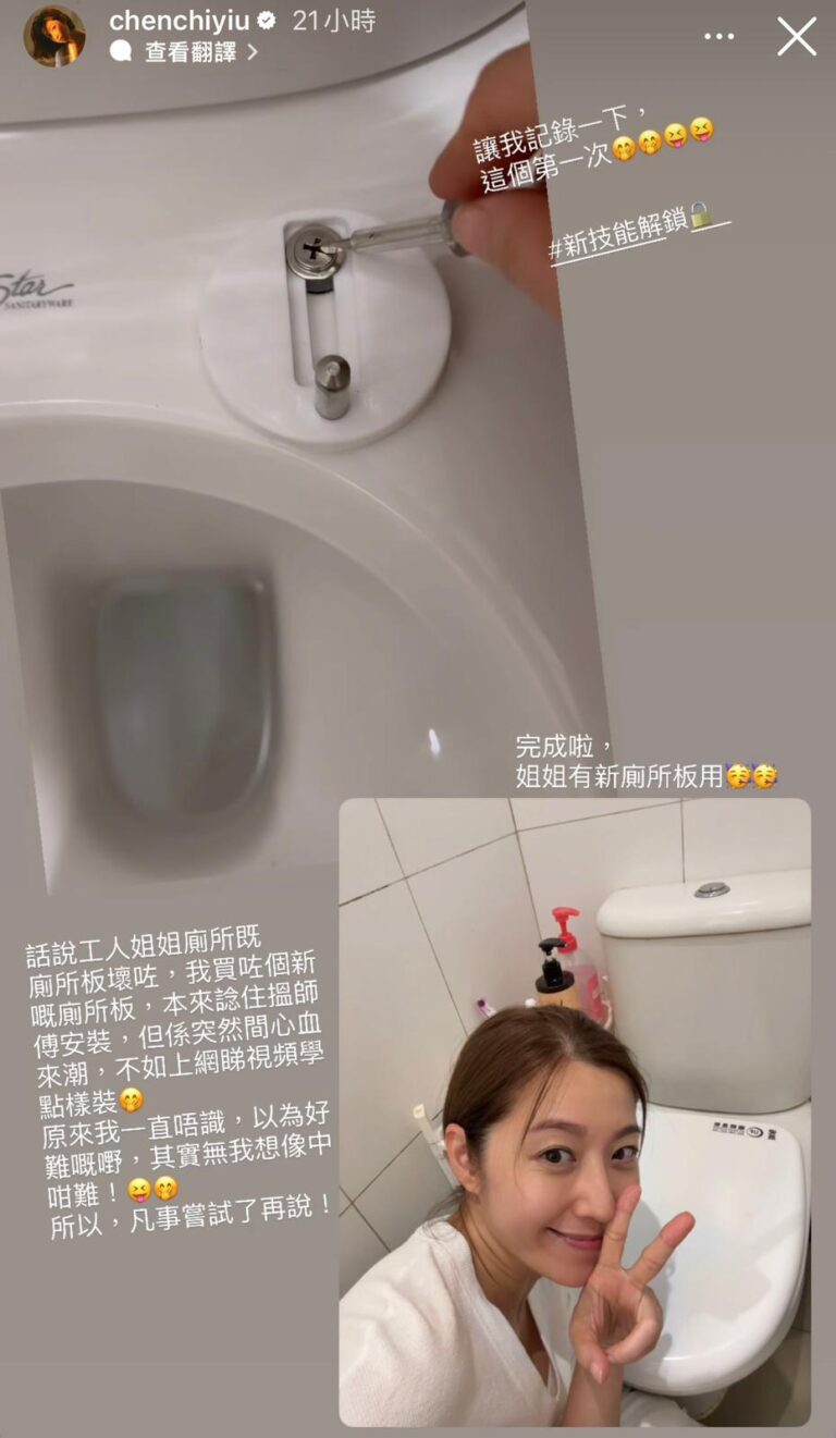 陳自瑤學裝廁所板滿足感大 網民讚賞實用新技能