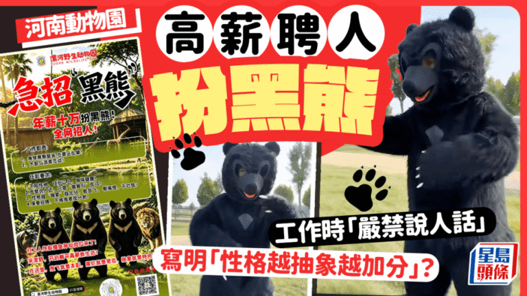動物園招聘黑熊扮演者 年薪十萬禁說人話引熱議