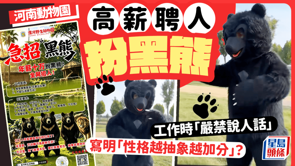 動物園招聘黑熊扮演者 年薪十萬禁說人話引熱議