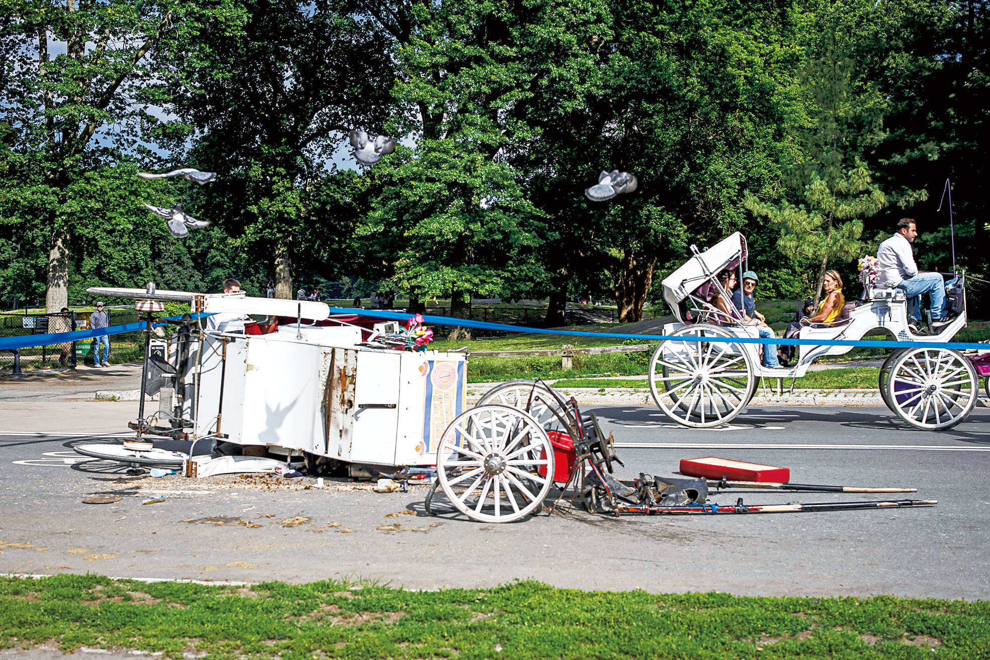 中央公園本周發生馬車翻側，致一印度遊客死亡。Dave Sanders/紐約時報