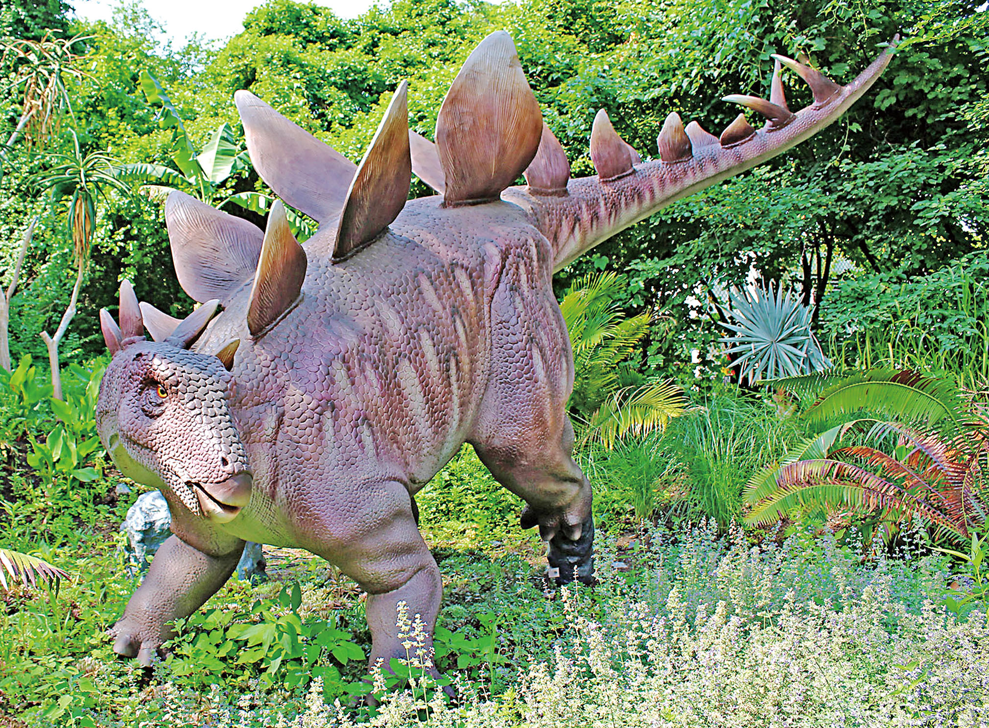 三藩市動物園7月1日至9月15日舉行「Dinos Rule!」展覽。 三藩市動物園