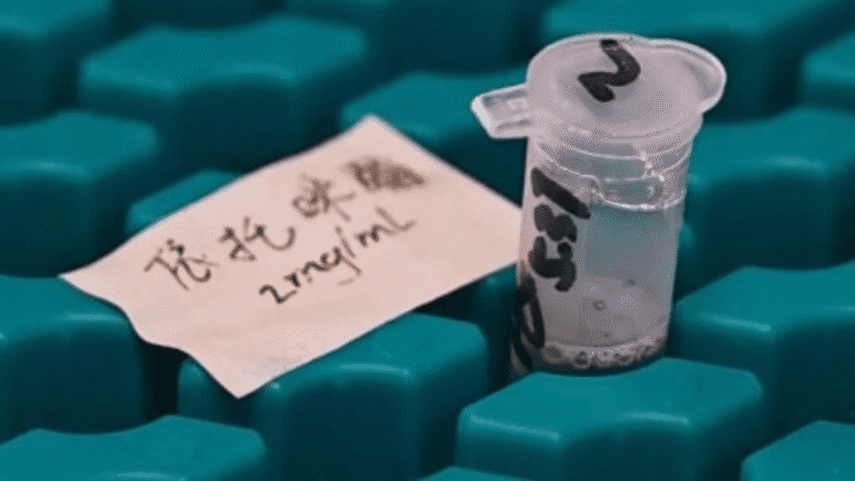 國際禁毒日：不法分子於「解壓快樂水」添加依托咪酯 專家警告可致永久腦損傷