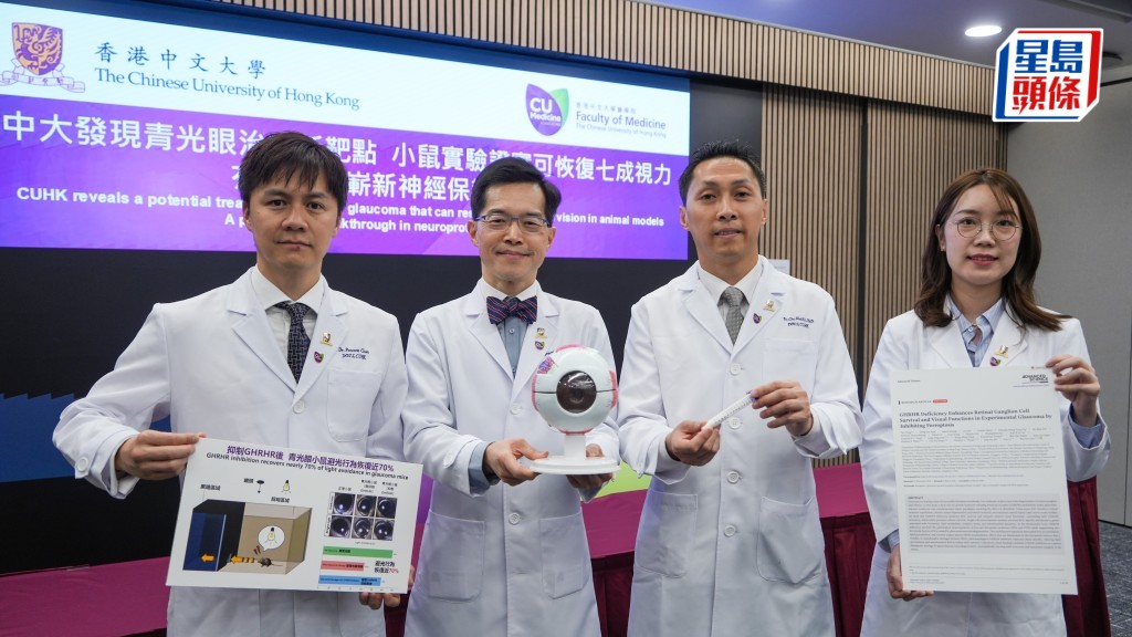 青光眼治療新突破 中大研究抑制特定激素 小鼠視力恢復七成