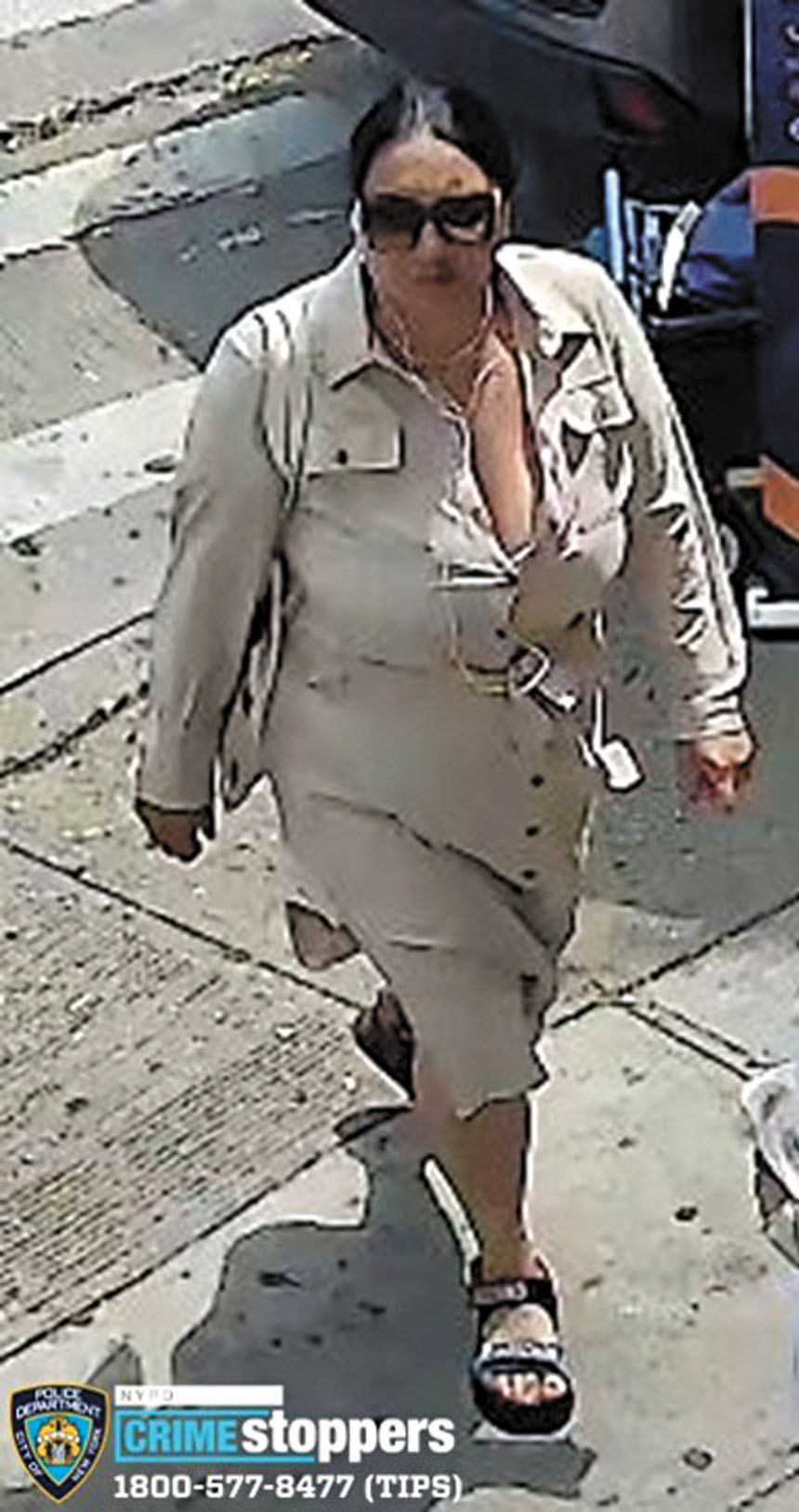 涉犯重竊罪嫌犯。警方提供