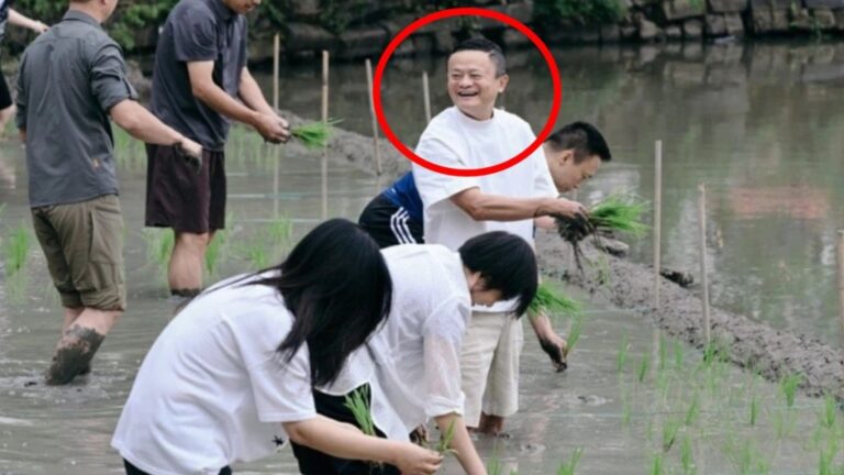 阿里巴巴管理層參與插秧團建 馬雲強調務實耕耘