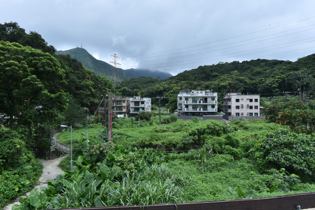 西貢井欄樹蟒蛇吞食羊隻 警方聯同獸醫成功捕獲