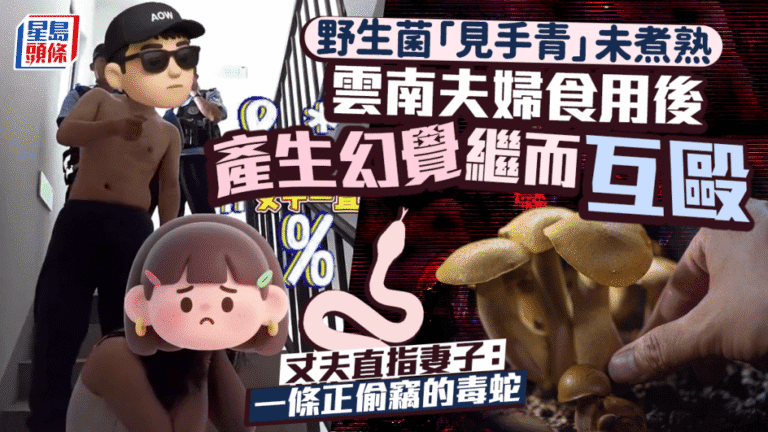 雲南夫婦誤食未熟毒菇「見手青」 中毒後現幻覺釀樓梯間衝突