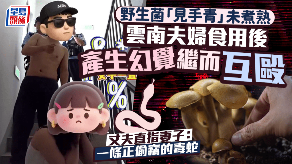 雲南夫婦誤食未熟毒菇「見手青」 中毒後現幻覺釀樓梯間衝突