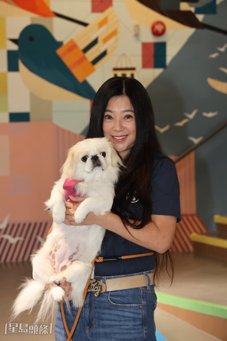 傅明憲預約餐廳支持寵物友善措施 八月遠赴非洲探大猩猩