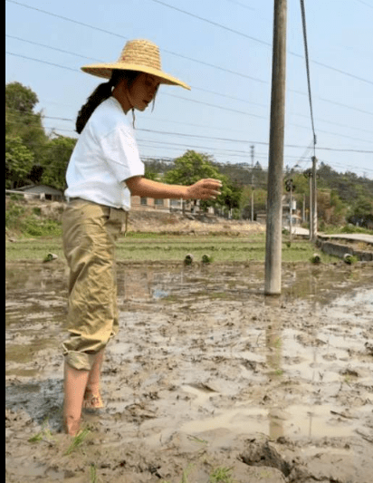 麥家琪曾與農民一起插秧。