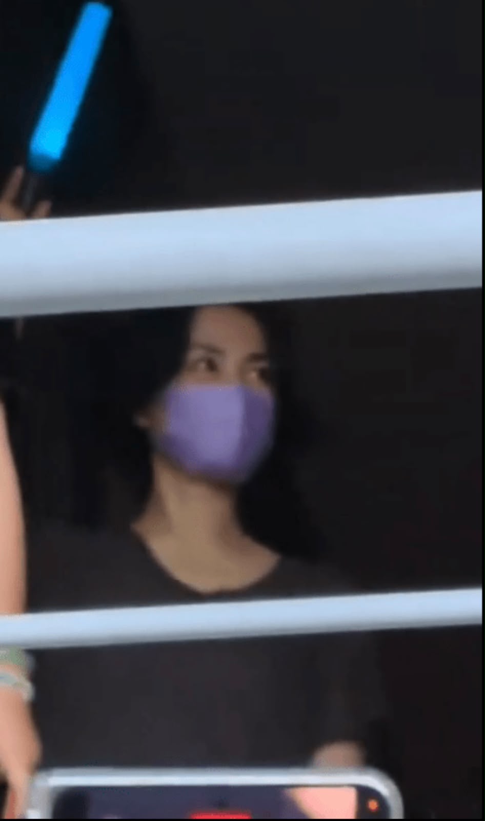 王菲連續兩晚坐在演唱會包廂支持男友。