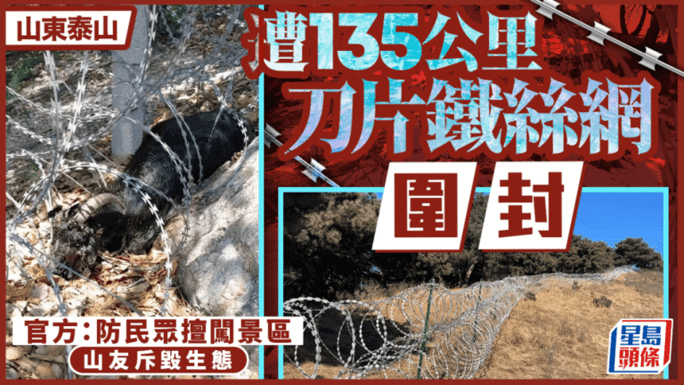泰山周邊設置135公里刀片鐵絲網 景區稱防野爬 網民憂生態破壞