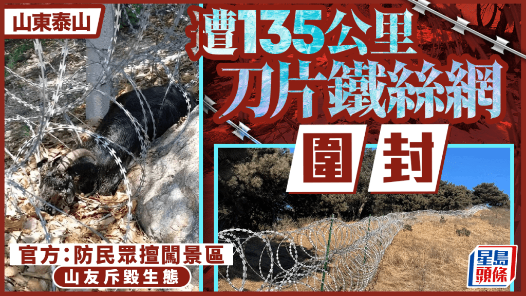 泰山周邊設置135公里刀片鐵絲網 景區稱防野爬 網民憂生態破壞