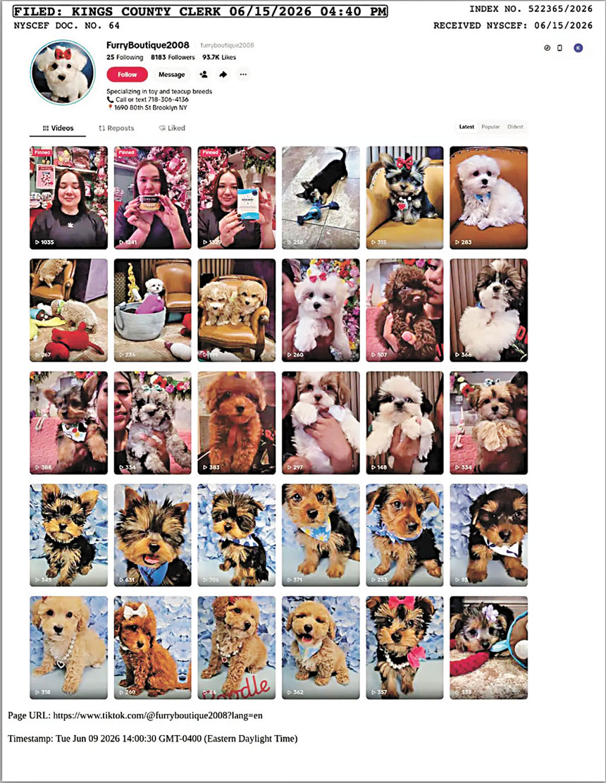 經營者涉嫌使用「Maxies Babies」、「NYC Maltese」及「NYC Yorkies」等大量網絡身分偽裝。國王縣書記官辦公室