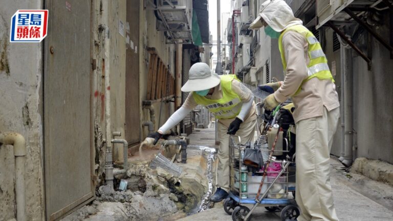 滅鼠承辦商涉違規飼養活鼠 食環署發嚴重失責通知書並停職涉事管工