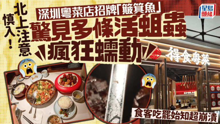 深圳粵菜店食安事件 顧客用餐後發現簸箕魚有活蛆