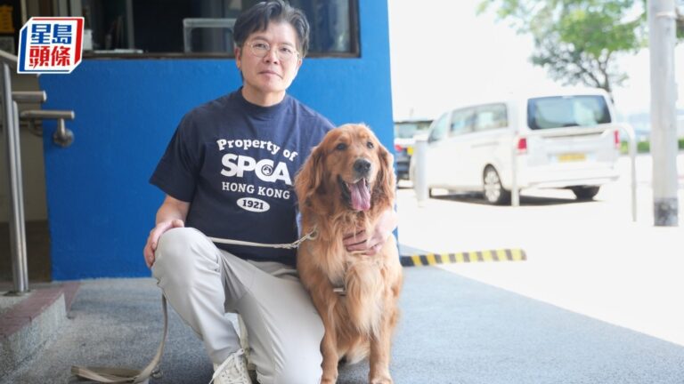 狗隻入食肆新規將實施 愛協建議細餐廳設寵物上限 籲主人勿勉強愛犬