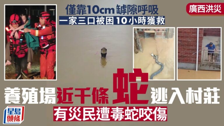 廣西洪災持續 一家三口被困10小時獲救 養蛇場近千條蛇逃逸