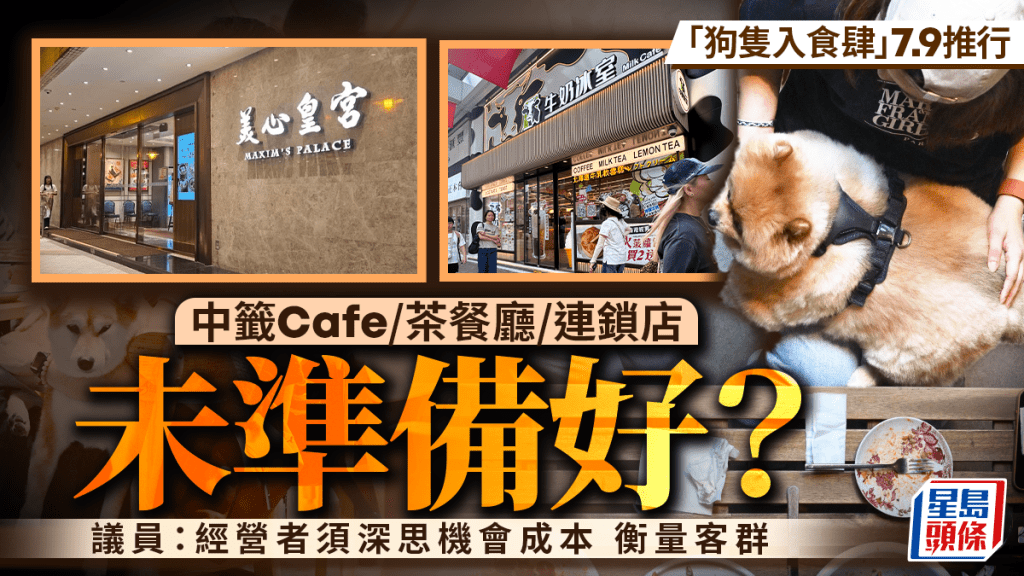 食肆准許狗隻進入措施生效 業界觀望 食環署派員協助適應