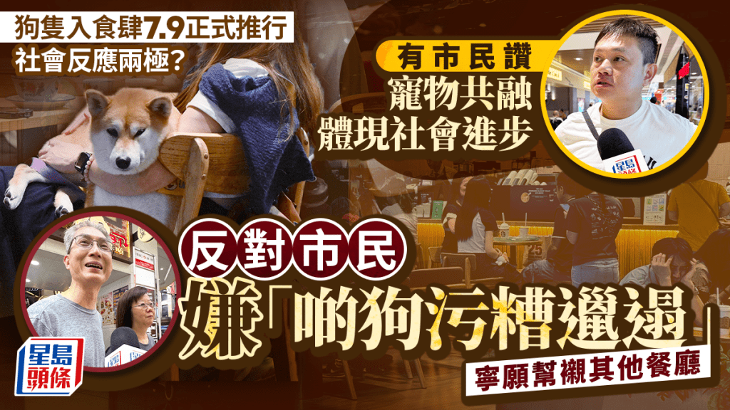 食肆准許狗隻進入 市民意見分歧 關注衛生與共融配套