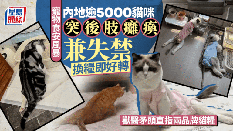 內地貓糧安全事件引發關注 數千貓咪出現後肢癱瘓症狀