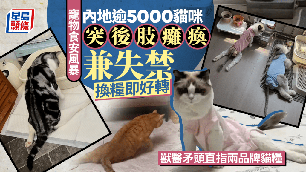 內地貓糧安全事件引發關注 數千貓咪出現後肢癱瘓症狀