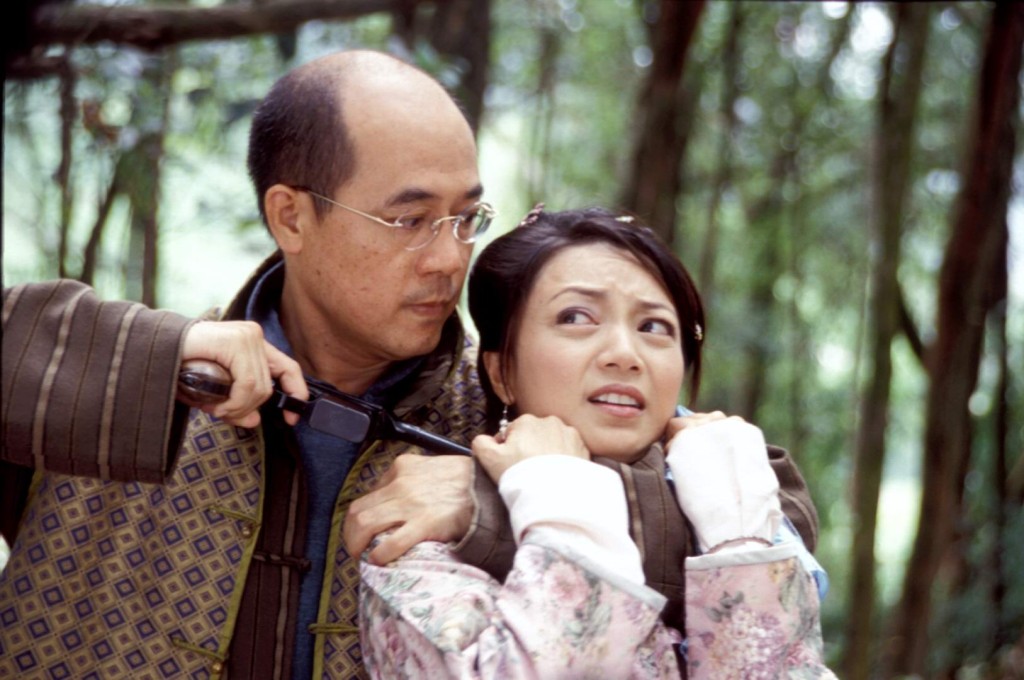 劇集《戇夫成龍》是經典之作。