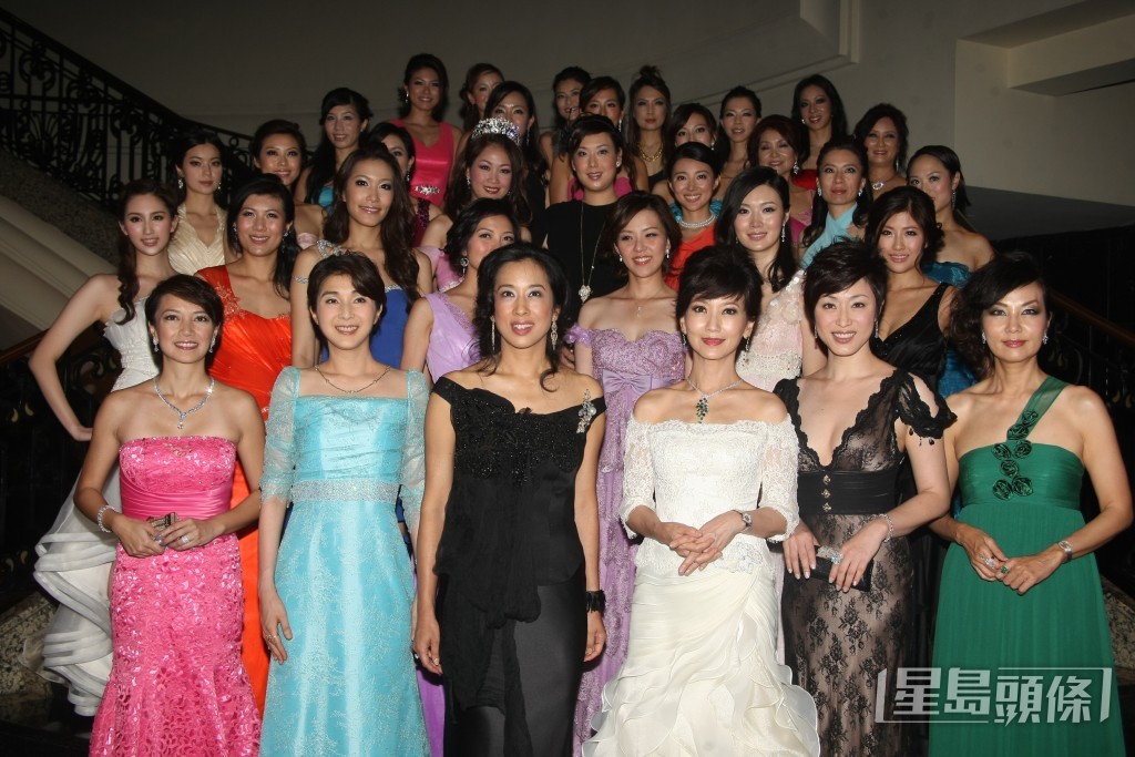 楊婉儀曾擔任慧妍雅集的會長。
