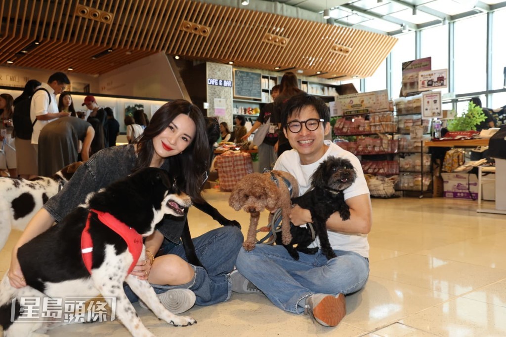 活動為數十隻貓狗尋找領養家庭,並義賣T裇與環保袋等產品,推廣愛護寵物訊息。