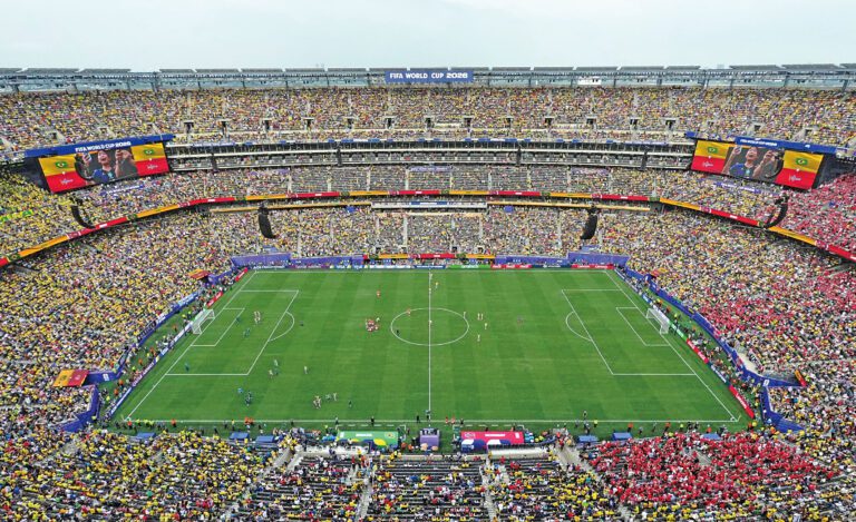 決賽草皮每份450元   FIFA限量開賣惹議