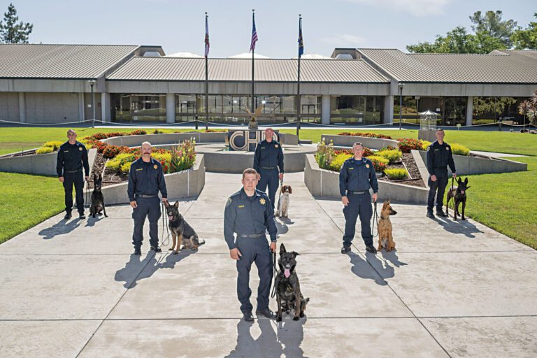 加州公路巡警六組新警犬小組完成專業訓練開始執勤。州長辦公室