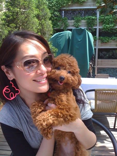 向海嵐的愛犬Chloe在其17歲生日當天離世。