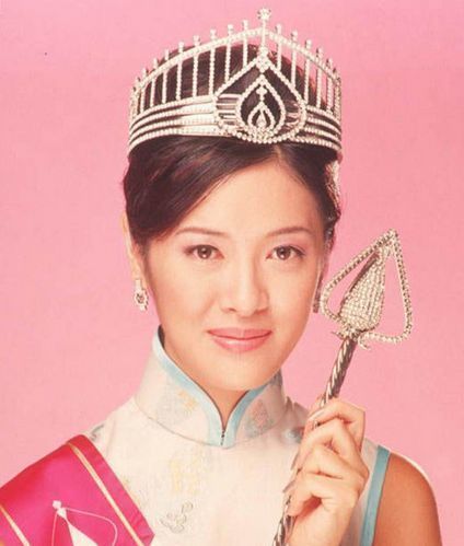 向海嵐於1998年參選香港小姐奪冠後加入娛樂圈。