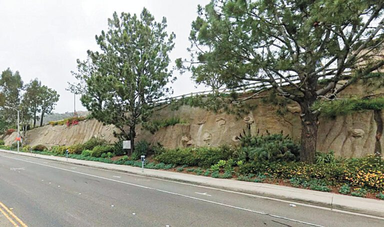 拉古納海灘南海岸公路沿線，一輛汽車衝出路堤。Google圖片