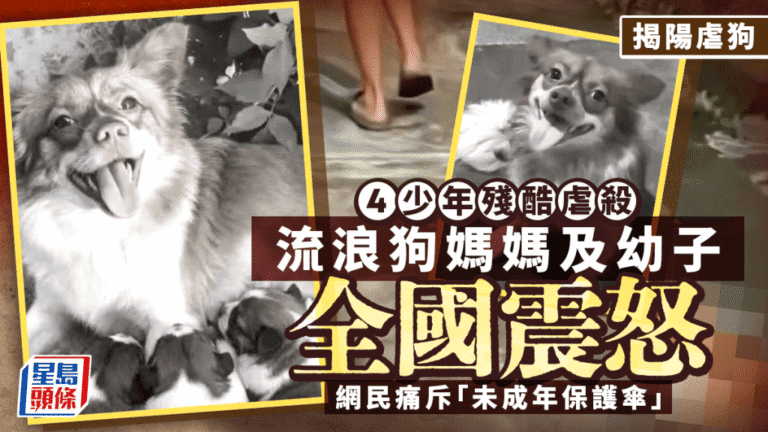 廣東揭陽發生未成年人虐待犬隻事件 官方通報涉事者已送專門學校