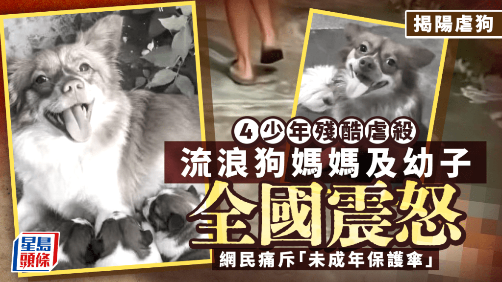 廣東揭陽發生未成年人虐待犬隻事件 官方通報涉事者已送專門學校
