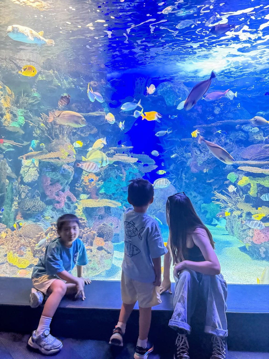 倪晨曦帶兒子去水族館遊玩。