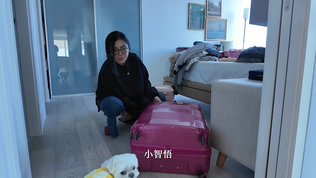 王祖賢的愛犬來幫忙。