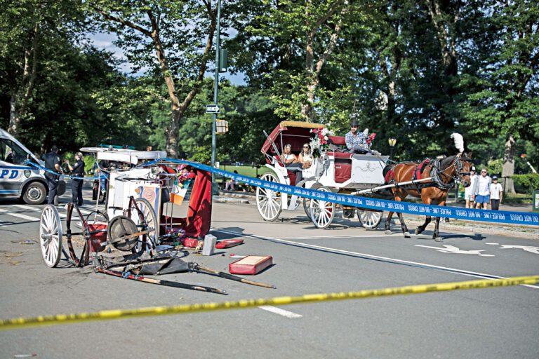 18歲的印度遊客馬哈詹在上月的馬車事故中死亡。 Dave Sanders /紐約時報