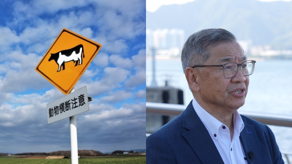 港人北海道自駕遊安全警示：專家與官方籲輪流駕駛應對路況差異
