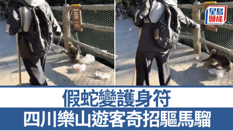 遊客攜假蛇應對峨眉山猴子 景區回應猴子天性怕蛇