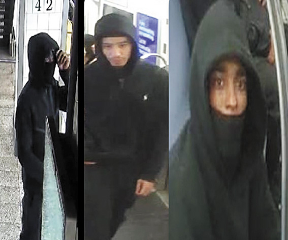 圖為涉案團夥。 圖源：NYPD