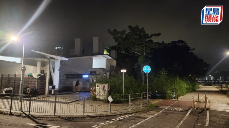 大埔白石角凌晨發生盜竊及襲擊案 男子遇劫眼部受傷送院