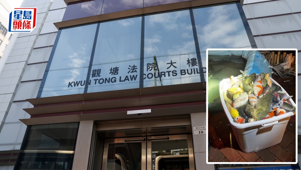 將軍澳景林邨水池清洗致逾百魚亡 兩名女職員被控虐畜准保釋