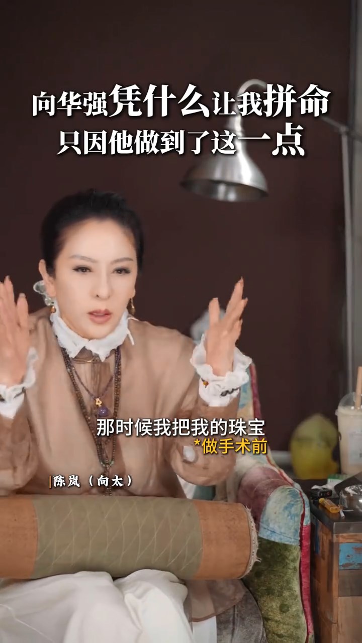 向太表示在進行腦部手術前,曾為名下珠寶製作了三本圖鑑。