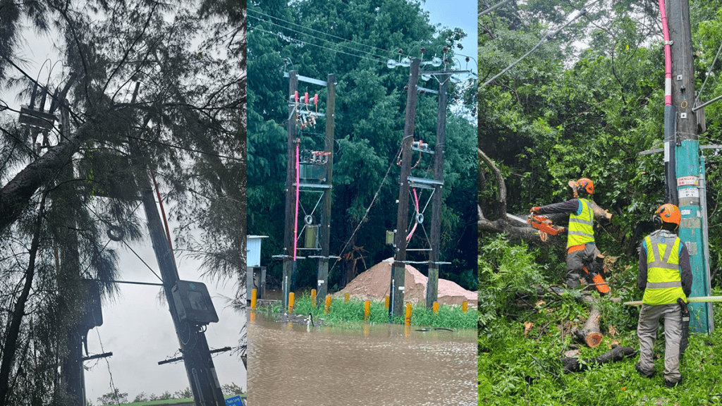 颱風「紅霞」影響新界約30戶供電 中電傍晚前完成復電