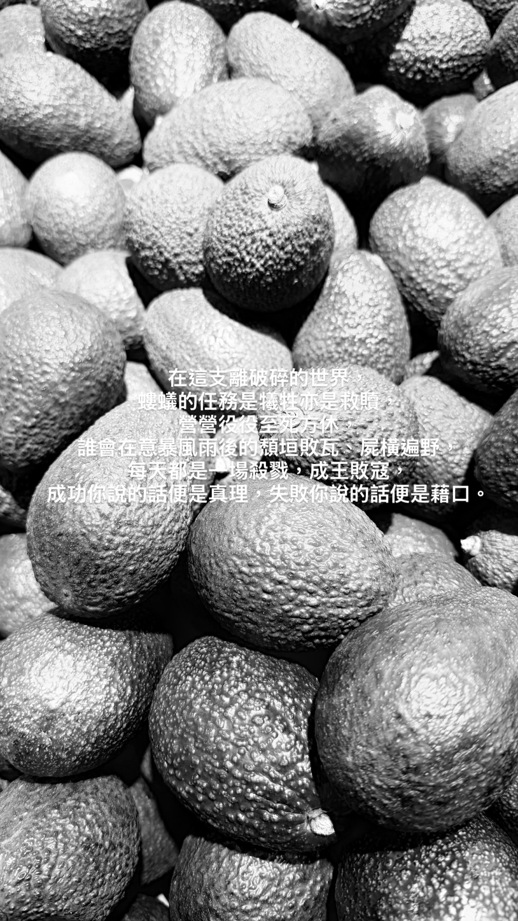帖文的字裡行間,透露出梁茵對現實的無奈與悲觀感受。