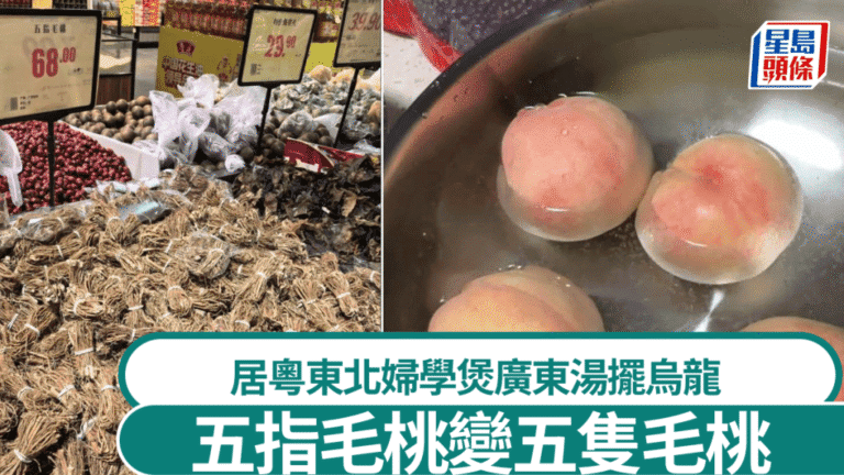 東北婦學煲廣東湯 誤將「五指毛桃」當「五隻毛桃」惹網民熱議